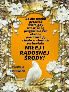 Biały gołąb z pozdrowieniami na środę